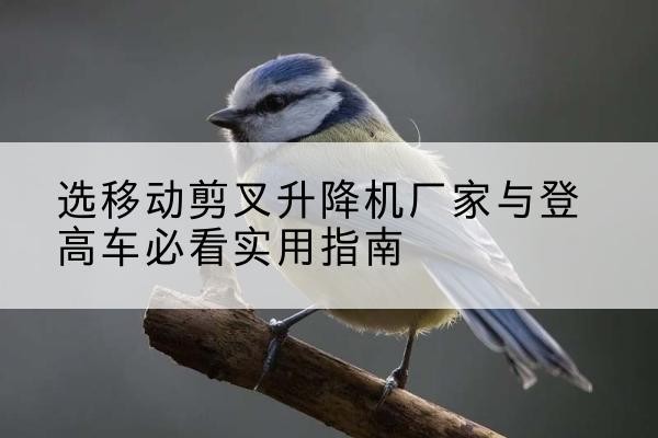 城阳电动升降机厂家-选移动剪叉升降机厂家与登高车必看实用指南