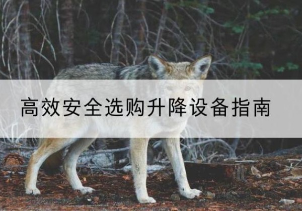 城阳升降货梯厂家推荐-*安全选购升降设备指南